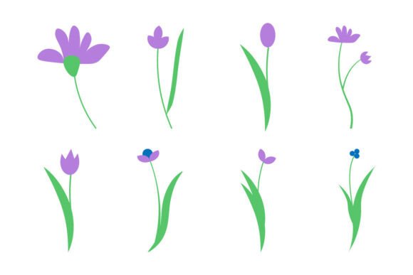 Minimalist Floral Illustrations: Graphics & Illustrations for Local Brands