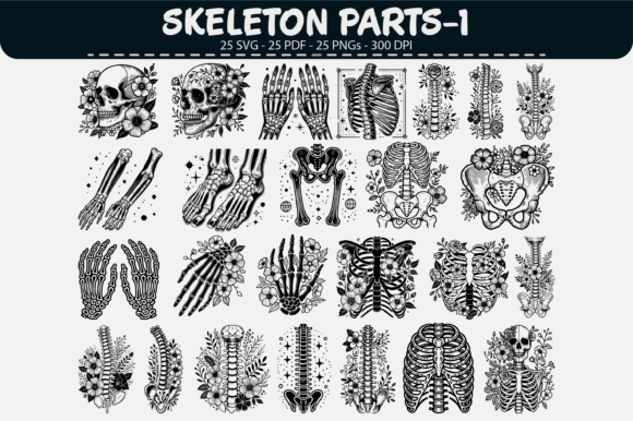 Skeleton Parts Vector Clipart – 25 Graphics & Illustrations